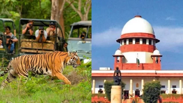 18_11_2025-suprime_court_tiger_safari