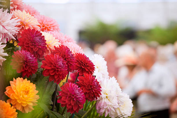 istockphoto-44